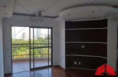 Apartamento à venda anália franco vista para o ceret, 70 metros, 2 quartos, 1 suíte, 2 banheiros, 2 vagas e depósito, piscina, academia, sauna e mais