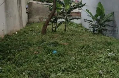 Terreno na parada xv de novembro, medindo 10x500, totalizando 500mts, limpo