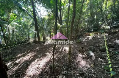 Terreno à venda, 4000 m² por r$ 550.000,00 - praia da lagoinha - ubatuba/sp