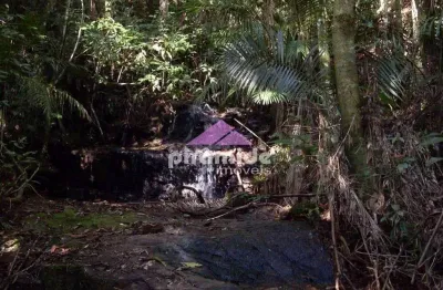 Terreno à venda, 121000 m² por r$ 2.200.000,00 - centro - são francisco xavier/sp