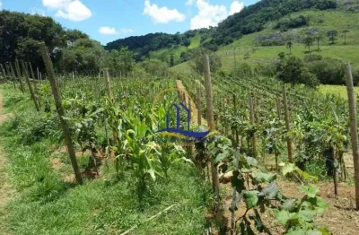 Chácara / sítio com 3 quartos à venda na Zona Rural - Não é Centro !, Centro, Bocaina de Minas