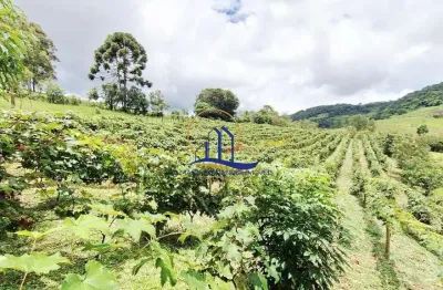Chácara / sítio com 3 quartos à venda na Zona Rural - Não é Centro !, Centro, Bocaina de Minas