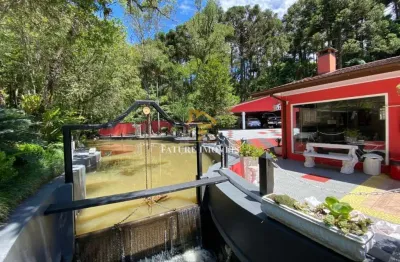 Casa com 6 quartos à venda na estrada municipal marcial pisoni, 1, zona rural, caxias do sul por r$ 3.800.000