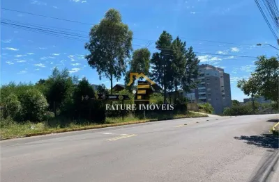 Terreno à venda na rua cristiano ramos de oliveira, charqueadas, caxias do sul por r$ 2.850.000