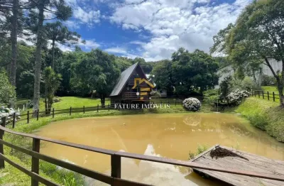 Chácara / sítio com 2 quartos à venda na calabria, 1, são gotardo (distrito), flores da cunha por r$ 2.500.000