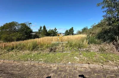 Terreno à venda na rua julia de carli paglioli, 1, são luiz, caxias do sul por r$ 225.000