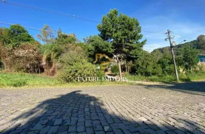 Terreno à venda na jeronimo demori, são luiz, caxias do sul por r$ 125.000