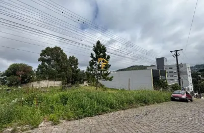 Terreno à venda na josé menegotto, são luiz, caxias do sul por r$ 600.000