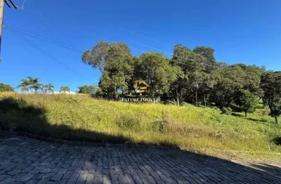 Terreno em condomínio fechado à venda na thompson flores, 1, linha 40, caxias do sul por r$ 424.000
