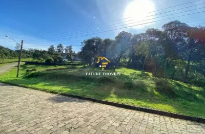 Terreno à venda na estrada municipal vereador vicente menezes, linha 40, caxias do sul por r$ 868.000