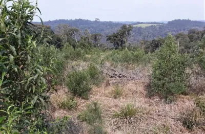 Terreno rural com 152.369,59m² localizado em são bento do sul-sc