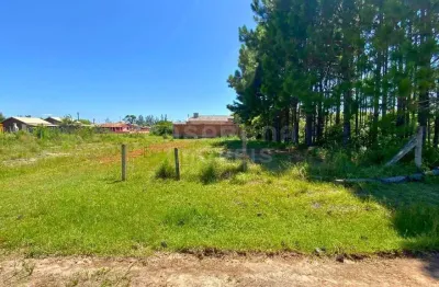 Terreno na Figueirinha – Oportunidade para Construir no Litoral