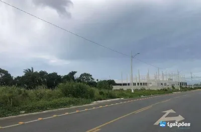 Terreno comercial à venda na Rodovia Br 101, 63, Área Rural de Igarassu, Igarassu