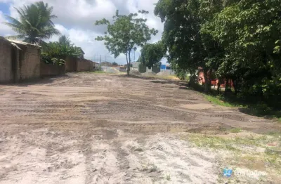 Terreno comercial para alugar na Rodovia BR-101 Norte, 100, Centro, Igarassu