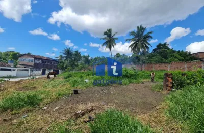 Terreno comercial à venda na Avenida Antônio Vicente Novelino, 29, Encanto Igarassu, Igarassu