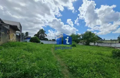 Terreno comercial à venda na Rua Algarve, 12, Jardim Boa Sorte, Igarassu