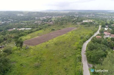 Área com 85.000 m² à 800 metros da rodovia br 101 em igarassu - pe