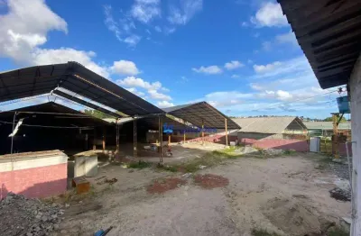 Terreno com 3.000 m², parcialmente coberto em passarinho, recife - pe