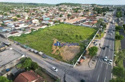 Terreno comercial para alugar na Rodovia BR-101 Norte, 91, Centro, Igarassu