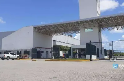 Galpão com 10455 m² na muribeca - jaboatão dos guararapes/pe