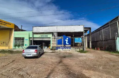 Galpão tipo loja com 500 m² às margens da pe-22 em paulista - pe