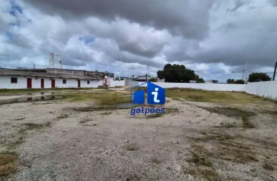 Terreno comercial para alugar na Rua Nova Cruz, 1, Umbura, Igarassu