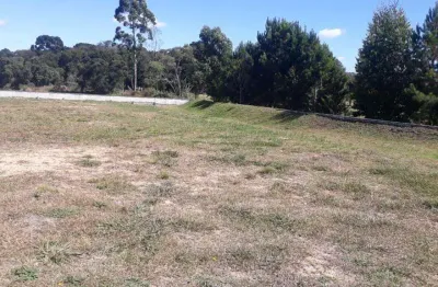 Terreno à venda no bairro campo largo da roseira - são josé dos pinhais/pr