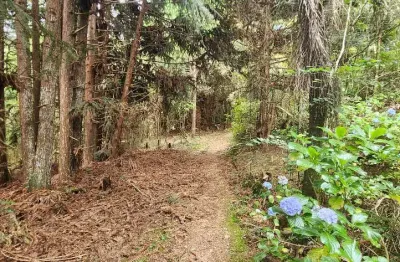 Chacara proximo do caminho do vinho, são josé dos pinhais/pr