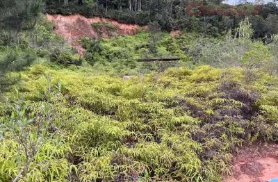 Terreno à venda no Centro, Santo Amaro da Imperatriz 