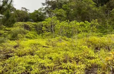 Terreno à venda no Centro, Santo Amaro da Imperatriz 
