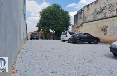 Terreno para alugar, 350 m² por r$ 3.500,00/mês - piqueri - são paulo/sp