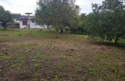 Terreno à venda no Cachoeira do Bom Jesus, Florianópolis 