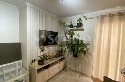 Apartamento 2 dormitórios e 1 vaga à venda na vila mascote