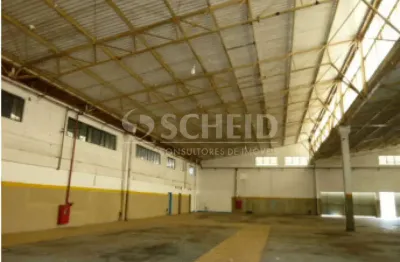 Ótimo galpão com boa localização, bom para varejistas, empresa de grande porte