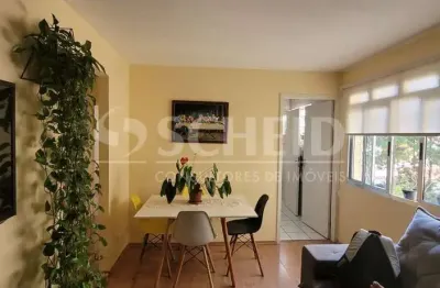 Apartamento com 3 quartos à venda na Avenida Damasceno Vieira, --, Vila Mascote, São Paulo