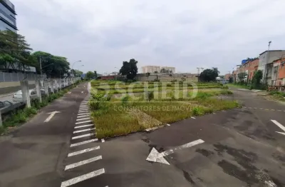 Terreno à venda na Rua Ferreira Viana, --, Interlagos, São Paulo