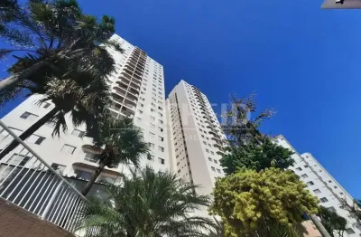 Excelente apartamento vista livre no jardim marajoara com 2 quartos