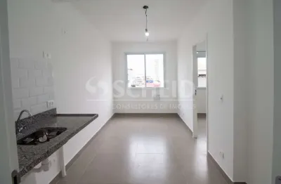 Apartamentos à venda na vila santa catarina, com elevador e lavanderia coletiva