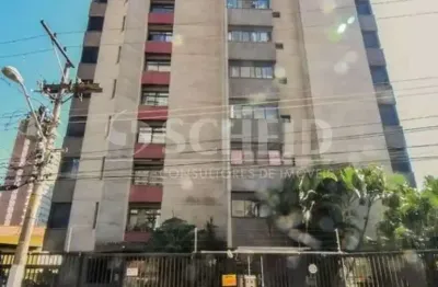 Apartamento 65m², chacara santo antonio, 1 quarto, sala dois ambientes, cozinha, 1 vaga, banheiro.