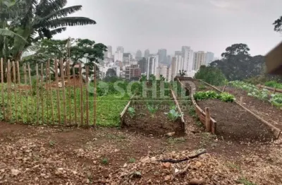 Terreno comercial 1.789 m² na avenida morumbi ? oportunidade única!