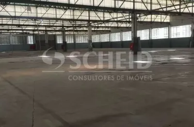 Excelente galpão com boa area fabril, bom para grandes empresas