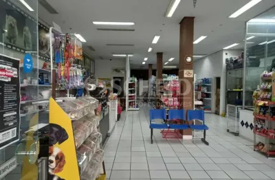 Casa comercial para locação, 2 salões, 5 banheiros, 5 vagas, santo amaro