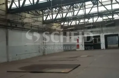 Barracão / Galpão / Depósito com 2 salas para alugar na Rua Hassib Mofarrej, --, Vila Leopoldina, São Paulo