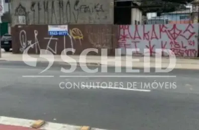 Barracão / Galpão / Depósito com 3 salas para alugar na Avenida Senador Teotônio Vilela, --, Interlagos, São Paulo