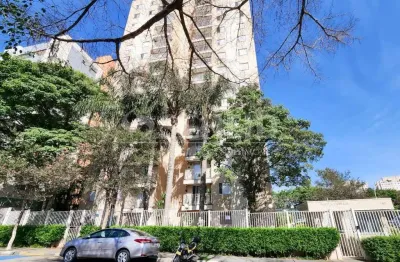 Apartamento com 3 dormitórios e lazer completo na vila marari