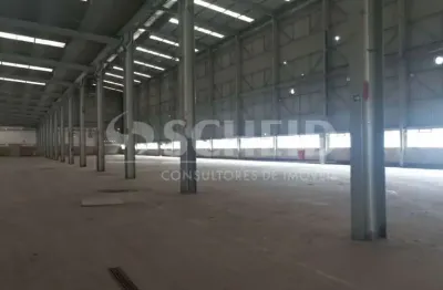 Barracão / Galpão / Depósito com 3 salas para alugar na Rua Arnaldo Magniccaro, --, Campo Grande, São Paulo