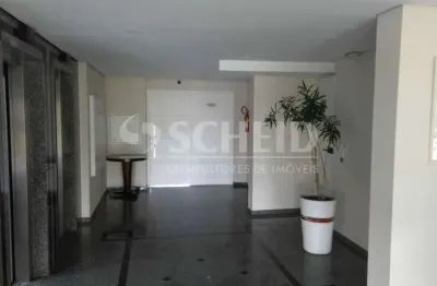 Apartamento 3 dorms (1 suite) 1 vaga coberta em subsolo lazer completo