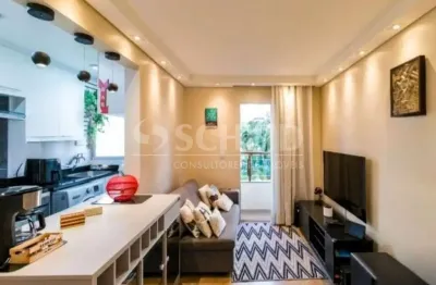 Morumbi, 2 quartos, 1 vaga. charmoso e encantador. não aceita pet.