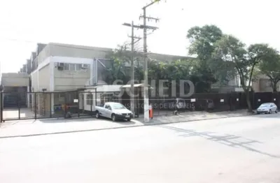 Barracão / Galpão / Depósito para alugar na Avenida Humberto Alencar Castelo Branco, --, Assunção, São Bernardo do Campo