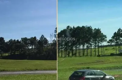 Terreno à venda na Rodovia Raposo Tavares, Vila Artura, Sorocaba